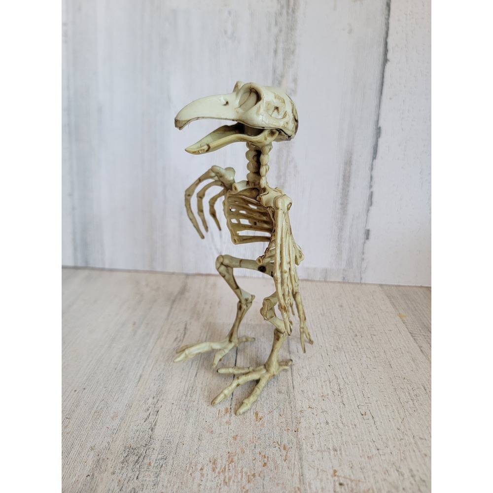 Halloween mini bird skeleton parrot prop unique home decor dead figure